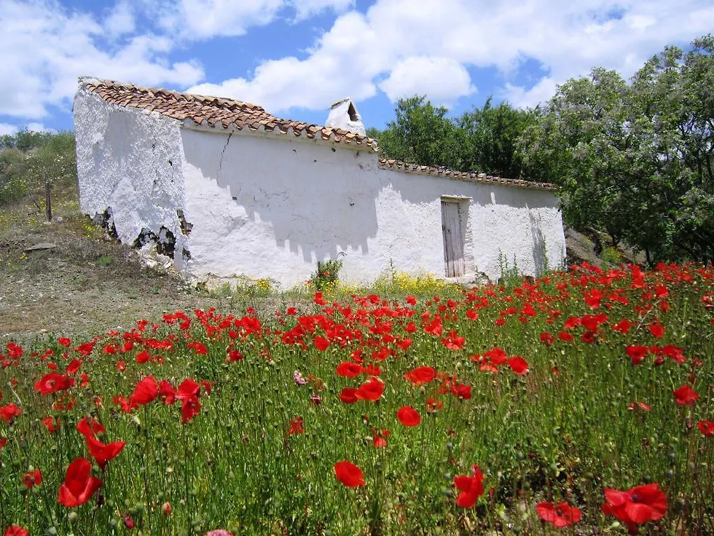 Azul Arenas Andalucia Villa